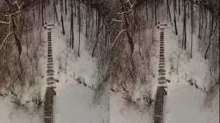 Grass choppers, January 2013, Ecilop Stereo FPV