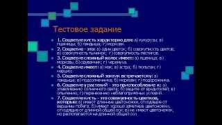 Занимательный урок по теме Соцветия.AVI Занимательный урок по теме Соцветия.AVI