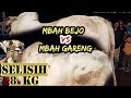 Beda Tipis | Mbah Bejo Vs Mbah Gareng | Siapa Pemenangnya...?