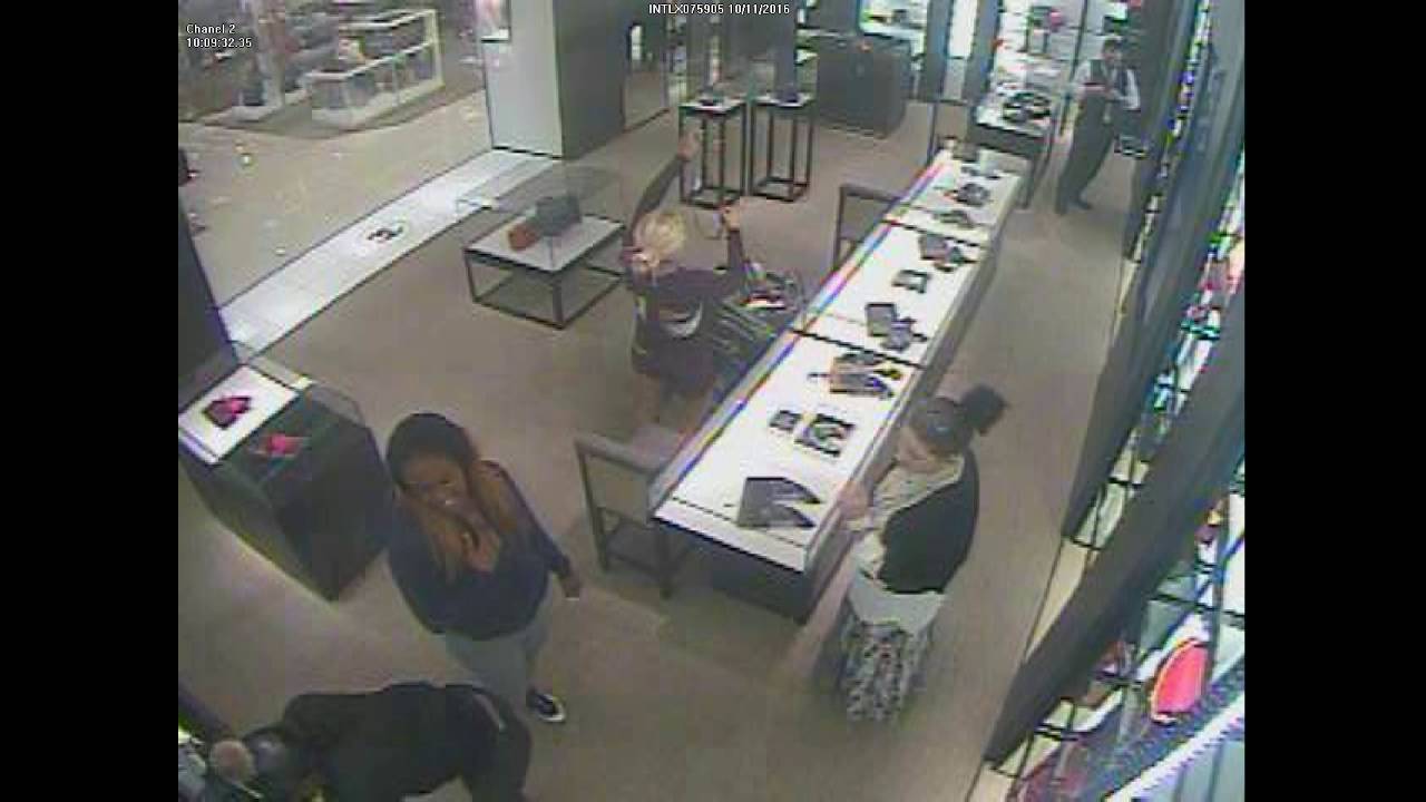 5 thieves grab Chanel purses from Fashion Valley Nordstrom store