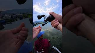 Toman Darma emang bikin deg-degan, sampe terbang ikannya!! #fishing #mancing #castingtoman