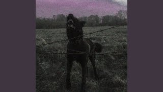 Uzi X Azer Caney