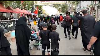 پیاده‌روی اربعین ۱۴۰۱ از نجف به کربلا برای زیارت امام حسین (ع) - مسلمان تی وی