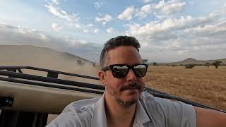 Download Lagu Our stay at Kubu Kubu Tented Lodge in Central Serengeti. MP3 Download Lagu Our stay at Kubu Kubu Tented Lodge in Central Serengeti. MP3