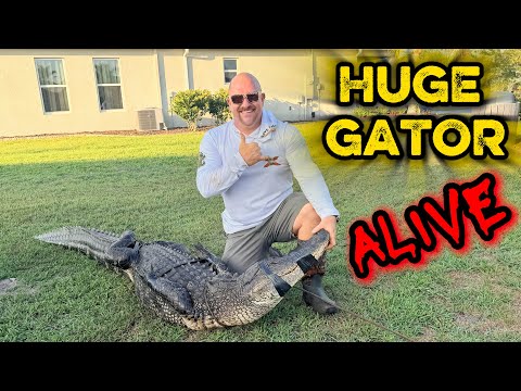 10+ FT MONSTER Gator Forced Me To Call For Backup