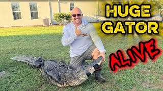 10+ FT MONSTER Gator Forced Me To Call For Backup