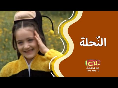 النحلة أنشيد للأطفال