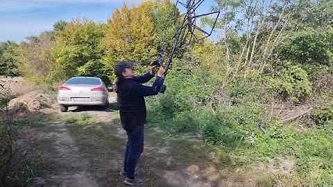 Nexus Standard MP V3 Dual 31