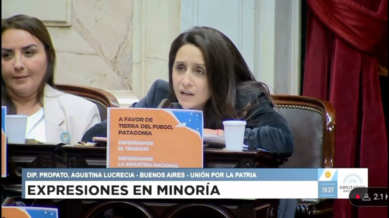 "Traigo en mis hombros muchísimos llantos": la desgarradora intervención de Propato tras la caída de la sesión en Diputados
