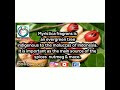 #jaifol_javitri(nutmeg_mace)benefits  #nutriclinic-kolkata