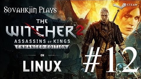 Sovahkiin Plays on Linux: Witcher 2 - Episode 12