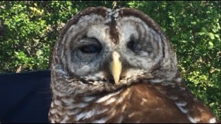 WGK 16   Pinellas County Eco Fest