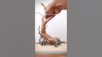 Creating a hardscape for a nano cube aquascape