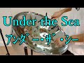 アンダーザシー（Under the Sea）【演奏してみた：スティールパン】リトルマーメイド＿ディズニー音楽:w32:h24