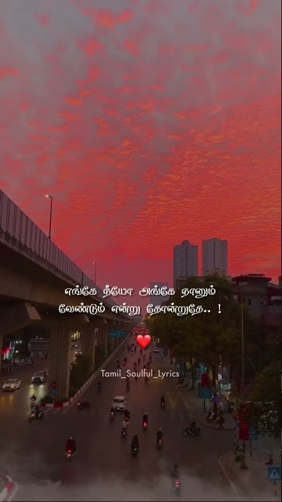 எங்கே நீயோ அங்கே நானும்.. ❤️