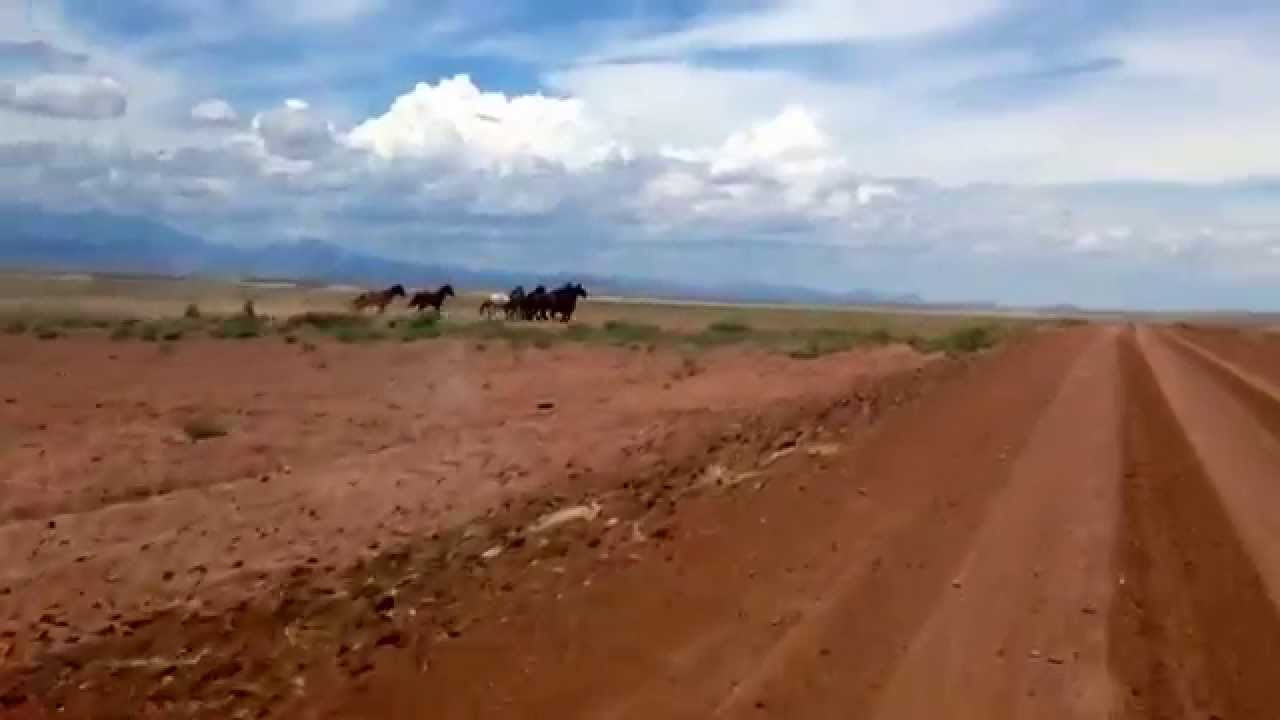 Leupp, AZ at The Rez. Me Driving Down the Road to the House YouTube