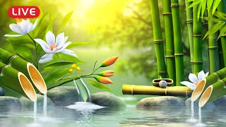 🔴 Relaxing Music 24/7, Stress Relief Music, Sleep Music, Meditation Music, Study, Sleep Meditation