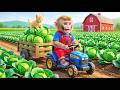 Monkey NaNa’s Cabbage Harvest Turns CHAOTIC as She Rescues a Cute Kitten! 😱 – NANA MONKEY LIFE