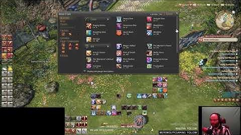 FOLLOWUP to FFXIV ACT - Special Spell Timers Guide