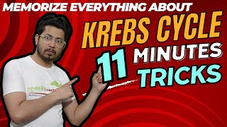 Krebs cycle tricks | How to remember krebs cycle | Krebs cycle made easy
