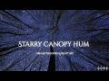MW Sensory & Story - Starry Canopy Hum | Dreamy Melodies & Night Sky