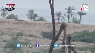 Pro Saudi sniper Houthi rebels in Yemen Part 2