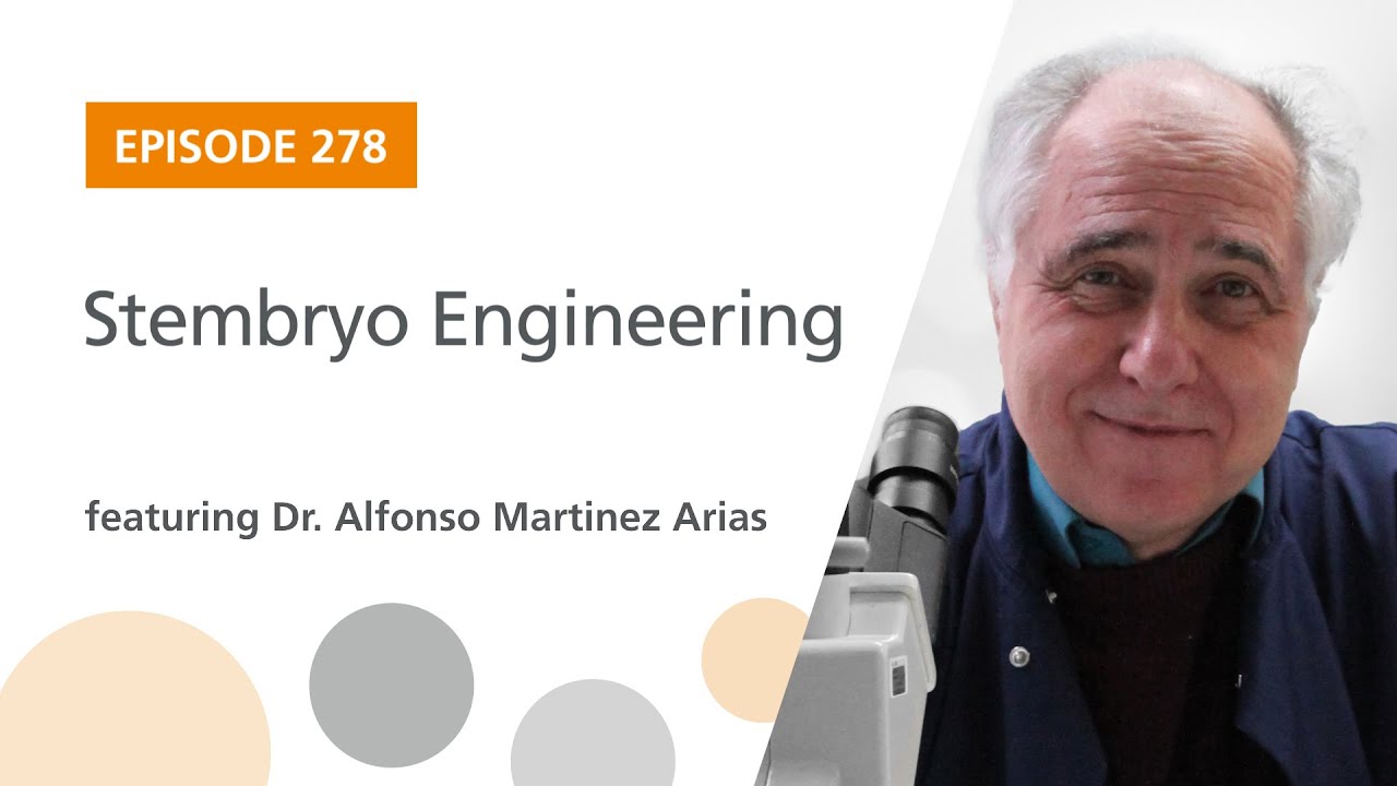Stembryo Engineering featuring Dr. Alfonso Martinez Arias | The Stem Cell Podcast