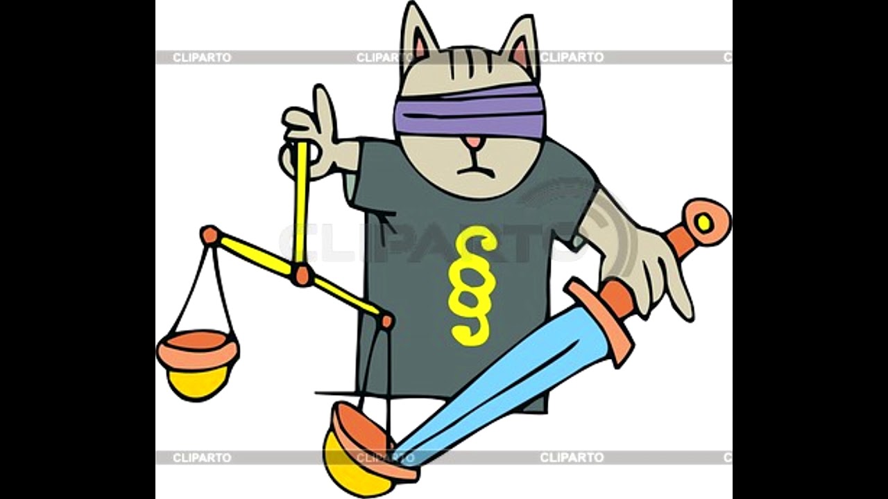 Картинки кот юрист