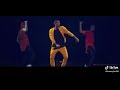 Chris brown-pills and automobiles (live perfomance)