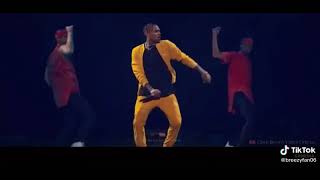 Chris brown-pills and automobiles (live perfomance)