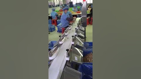 Automatic weight sorting machine