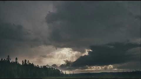 ما أجملها تلاوه عذبه ترق لها القلوب | ماجد الحازمي