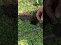 Metal Detecting Oil Lamp 1800 Silver Coins Relics Old Toys Farm Western NY Metaldetecting Shorts 