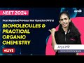 Biomolecules and practical organic chemistry neet pyqs  important chemistry concepts  neet 2024