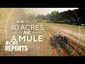 40 Acres and a Mule | CBS Reports