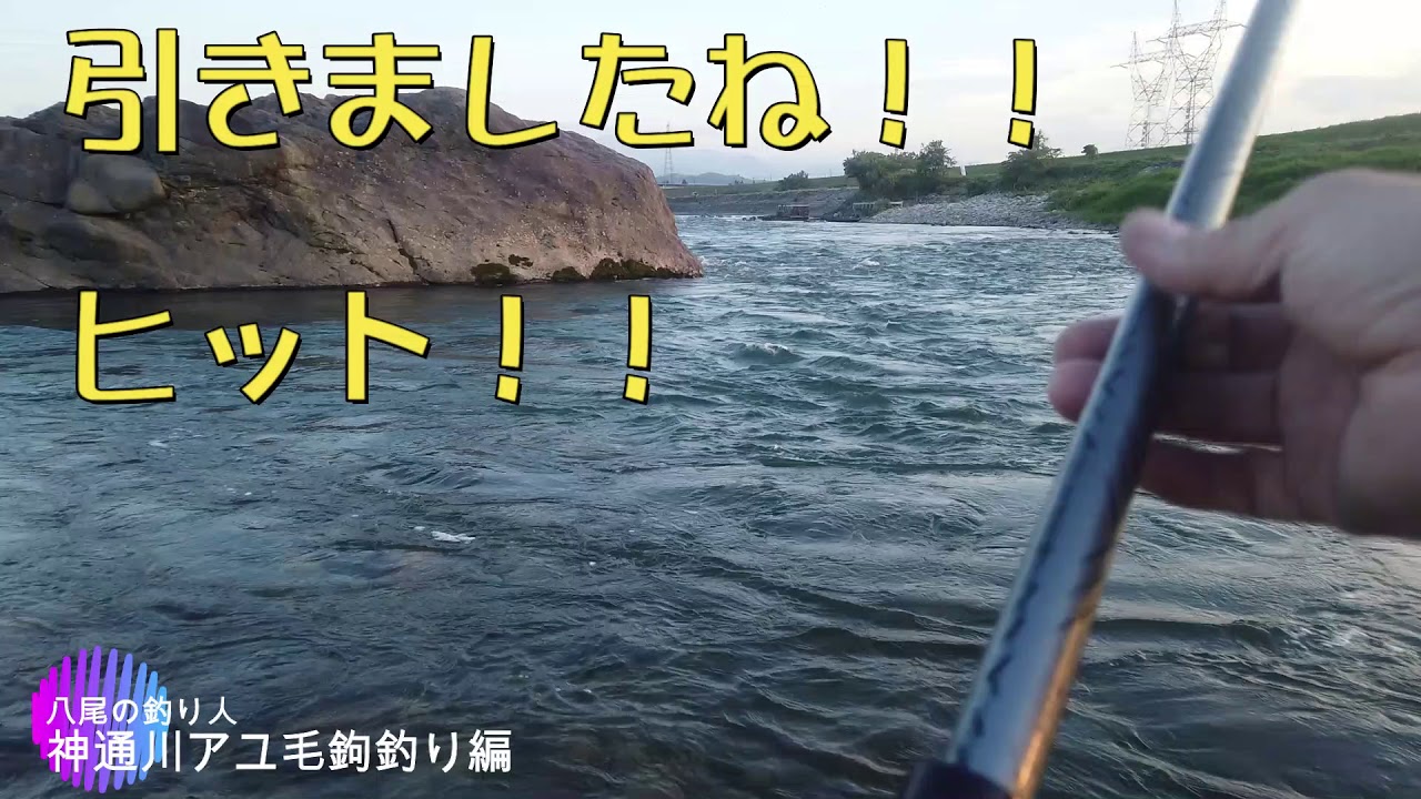 年6月神通川アユ毛鉤釣り編 Youtube