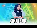 Nazia Marwiana Ft Ageng Music Ciinan Bana Official Live Music