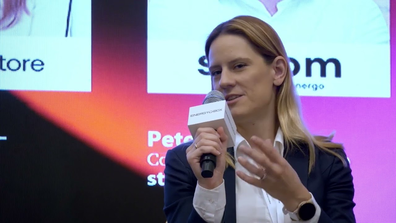 【HIGHLIGHTS】2nd Solar Energy Storage Munich 2024