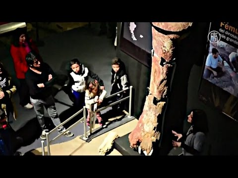 На юге Аргентины обнаружены яйца динозавров