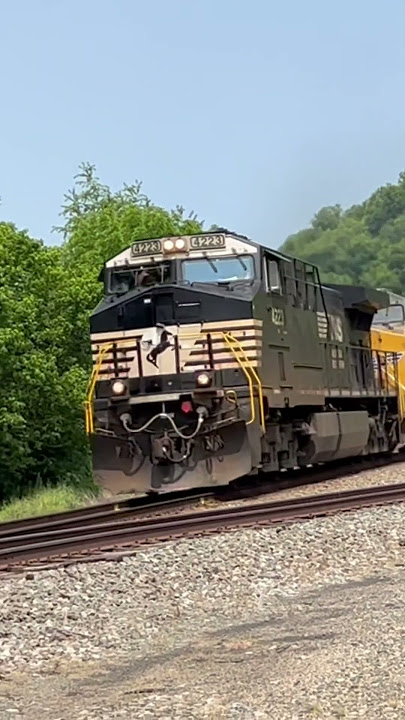 NS, UP, BNSF, FERROMEX LEADING 053  #bnsf #railway #ns