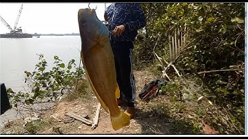 CÂU CÁ LÙ ĐÙ VÀ CHUYẾN ĐI CÂU DÃ NGOẠI CUỐI NĂM CỦA HAI ANH EM Ở CẦN GIỜ