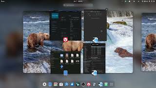 How to get Anking Overhaul using AnkiCollab for FREE screenshot 1
