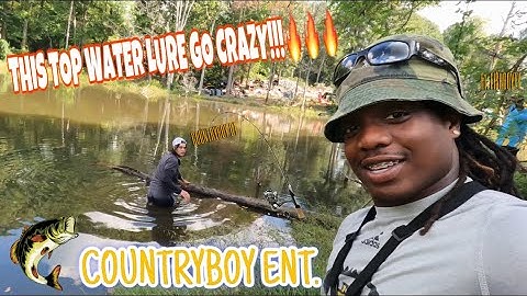 Explosive Topwater Action with the Whopper Plopper! (Must-See Bass Fishing)💥🎣