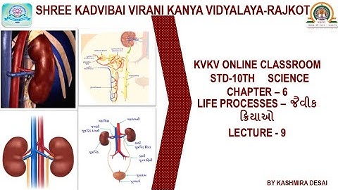 Std 10th/Science/Chapter-6 ✳️ જૈવિક ક્રિયાઓ ✳️ Lecture-9
