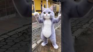 Kucing Comel Lagi Joget Tung-Tung Sahur