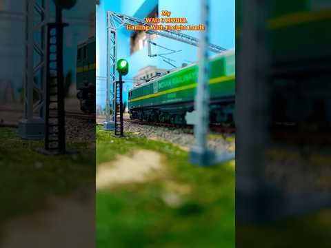 Best Train Videos