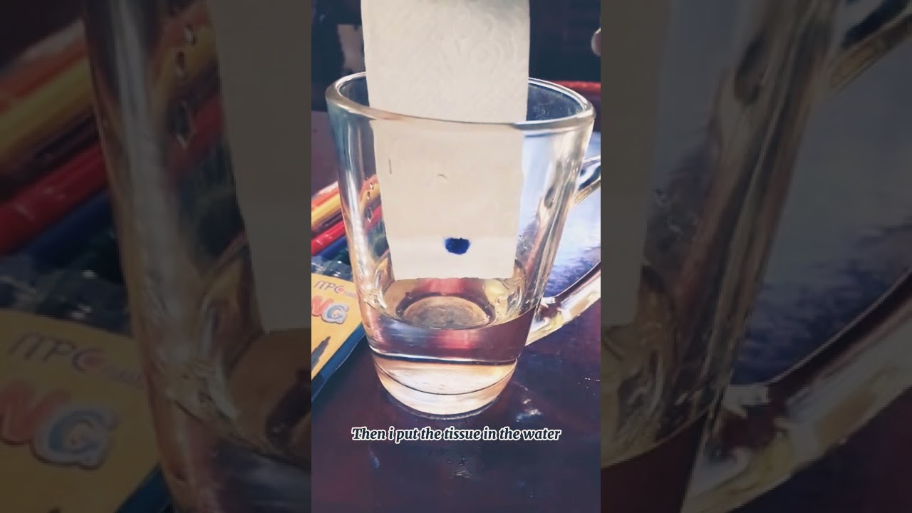 #paper chromatography project