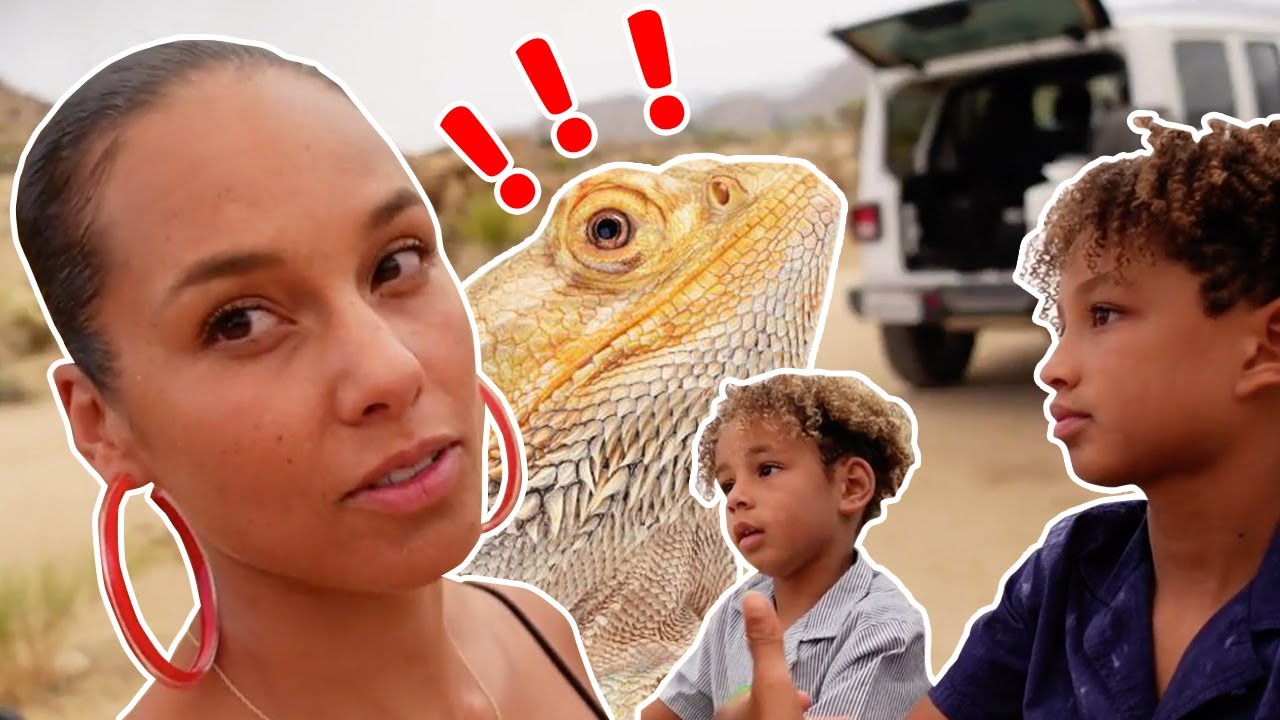 Egypt & Genesis’ Dragons