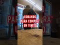 Turro Robando en Japón #argentina #japon #turro
