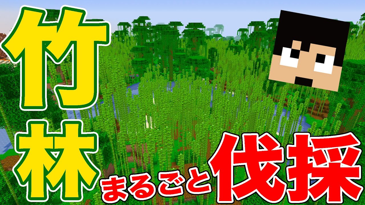 ジャングル丸ごと伐採 超大量の竹をget Part24 マイクラ Youtube ジャングル丸ごと伐採 超大量の竹をget Part24 マイクラ Youtube
